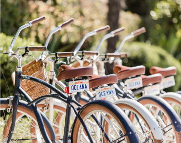 bikes